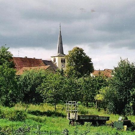 Pension "Am Tor Zum Mainbogen" Grettstadt Экстерьер фото